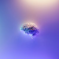 The Neuroscience of Addiction 